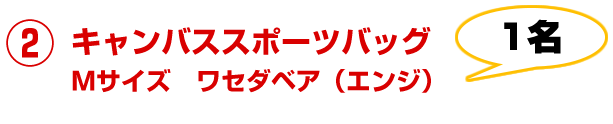 キャンパススポーツバッグ｜早稲田大学オリジナルグッズキャンペーン