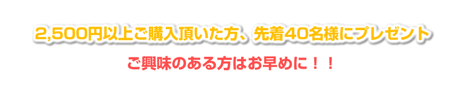 2,500円以上ご購入の方先着40名様に早稲田オリジナルクリアバッグ｜WASEDA-SHOP