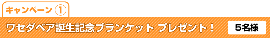 祝！ワセダベア誕生月記念ブランケットプレゼント