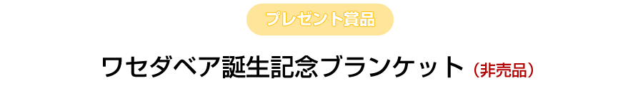 祝！ワセダベア誕生月記念ブランケットプレゼント